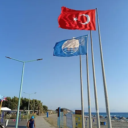 Ida Life Detached With Pool