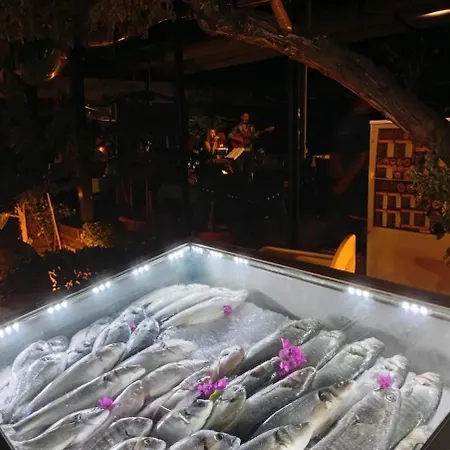 펜션 Ida Life Detached With Pool 세페리히사르