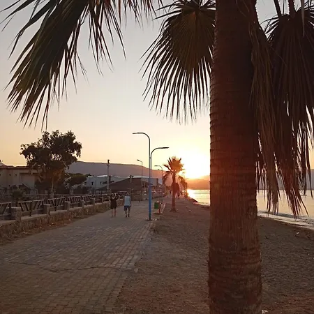 Ida Life Detached With Pool 세페리히사르